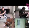 Formation educateur canin comportementaliste à domicile 83 dans le var et video dressage